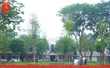 Ngỡ ngàng hàng phong trổ lá xanh mướt bên hồ Hoàn Kiếm